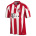 Adidas  Bayern Munich Soccer Jersey (Home 2010/11)