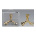 Adidas F50 TUNIT Stud Key