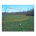 GOAL Portable Soccer Goal (8' x 24')