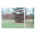 GOAL Official Round Post Soccer Goal (8' x 24')