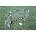 KwikGoal Kwik Soccer Soccer Goal (4' x 6')