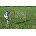 KwikGoal The Finisher Frameless Soccer Rebounder
