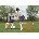 KwikGoal 1 Step Soccer Goal Kit (Pair of mini goals)