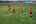 KwikGoal Coaching Stick Performance Pack