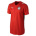 Puma Egypt Soccer Jersey (Home 2008/09)