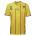 Puma  Cameroon World Cup 2010 Soccer Jersey (Away 2010)