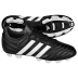 adidas AdiQUESTRA TRX FG Soccer Shoes
