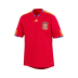 Adidas Spain World Cup 2010 Soccer Jersey (Home 2010/11)