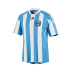Adidas  Youth Argentina World Cup 2010 Soccer Jersey (Home 2010/11)