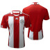 Adidas  Paraguay World Cup 2010 Soccer Jersey (Home 2010/11)