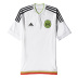 adidas Mexico Soccer Jersey (Away 2016/17)