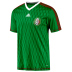 Adidas  Mexico World Cup 2010 Home Replica Soccer Jersey Tee