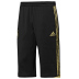 Adidas  Germany World Cup 2010 3/4 Soccer Training Pant