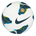 Nike Premier Team FIFA Soccer Ball