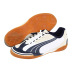 Puma v5.10 Sala Indoor Soccer Shoes