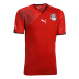 Puma Egypt Soccer Jersey (Home 2010)