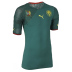 Puma Cameroon Soccer Jersey (Home 2010/11)