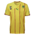 Puma Cameroon Soccer Jersey (Away 2010/11)