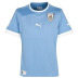 Puma  Uruguay Soccer Jersey (Home 2012/13)