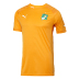 Puma Ivory Coast World Cup 2014 Soccer Jersey (Home)