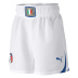 Puma  Italy World Cup 2010 Soccer Short (Away 2010/11)