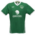 Umbro Ireland Soccer Jersey (Home 2009/10)