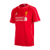 Warrior Liverpool Soccer Jersey (Home 2014/15)