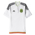 adidas Mexico Soccer Jersey (Away 16/17)