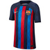 Nike Youth  Barcelona  Soccer Jersey (Home 22/23)