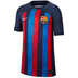 Nike Youth Barcelona Soccer Jersey (Home 22/23)