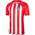 Nike  Atletico Madrid Soccer Jersey (Home 23/24)