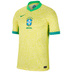 Nike  Brazil Soccer Jersey (Home 2024) - $99.95