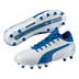 Puma evoTOUCH 2 FG Soccer Shoes (White/True Blue)